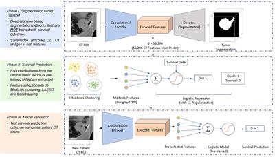 Predictive power of deep-learning segmentation based prognostication model in non-small cell lung cancer